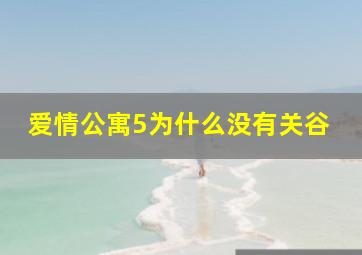 爱情公寓5为什么没有关谷