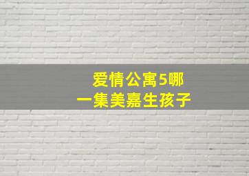 爱情公寓5哪一集美嘉生孩子