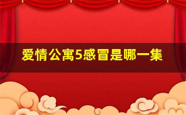 爱情公寓5感冒是哪一集