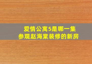 爱情公寓5是哪一集参观赵海棠装修的新房