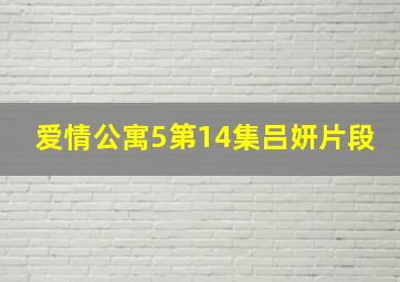 爱情公寓5第14集吕妍片段