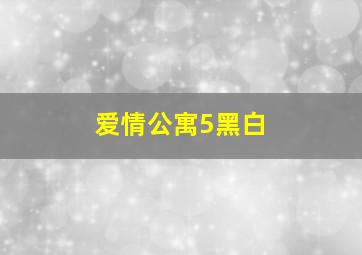 爱情公寓5黑白