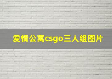 爱情公寓csgo三人组图片