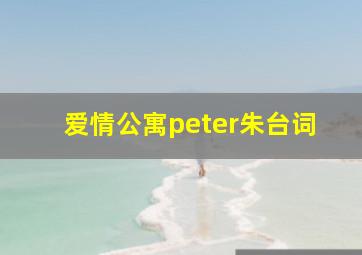 爱情公寓peter朱台词