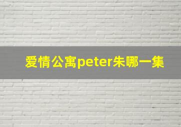 爱情公寓peter朱哪一集