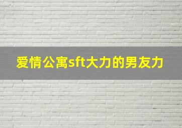 爱情公寓sft大力的男友力