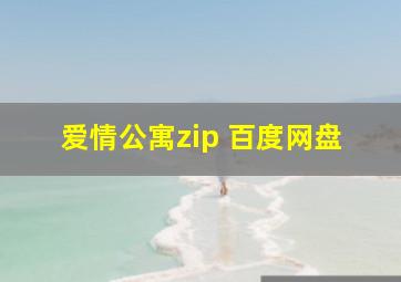 爱情公寓zip 百度网盘