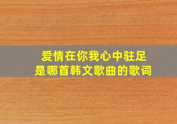 爱情在你我心中驻足是哪首韩文歌曲的歌词