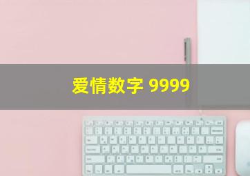 爱情数字 9999