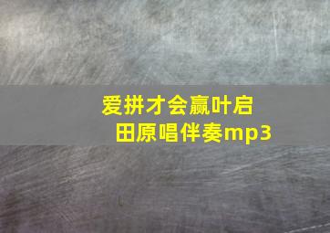 爱拼才会赢叶启田原唱伴奏mp3