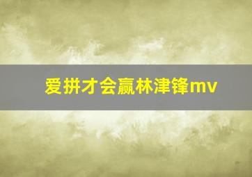 爱拼才会赢林津锋mv