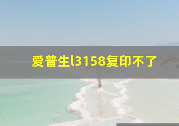 爱普生l3158复印不了