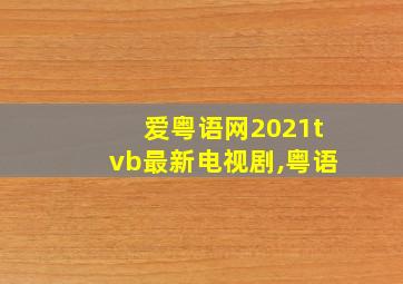 爱粤语网2021tvb最新电视剧,粤语