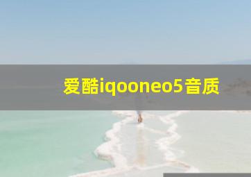 爱酷iqooneo5音质