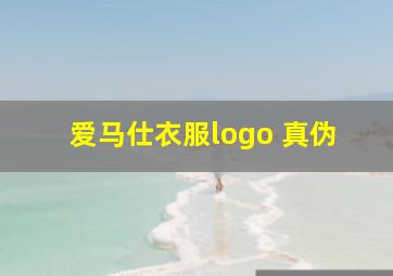 爱马仕衣服logo 真伪