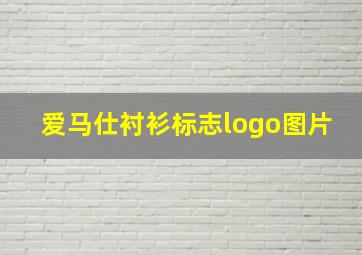 爱马仕衬衫标志logo图片