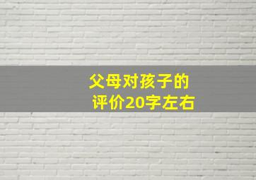 父母对孩子的评价20字左右