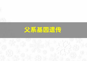 父系基因遗传