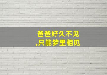 爸爸好久不见,只能梦里相见