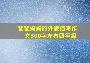 爸爸妈妈的外貌描写作文300字左右四年级