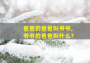 爸爸的爸爸叫爷爷,爷爷的爸爸叫什么?