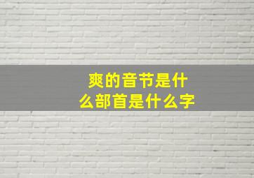 爽的音节是什么部首是什么字