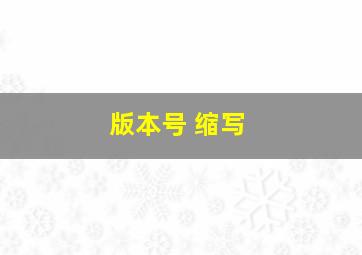 版本号 缩写