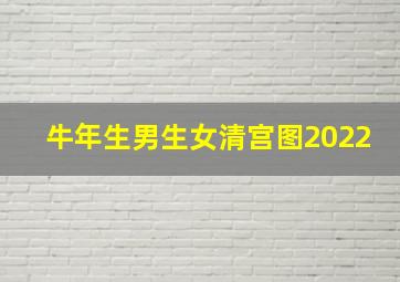 牛年生男生女清宫图2022