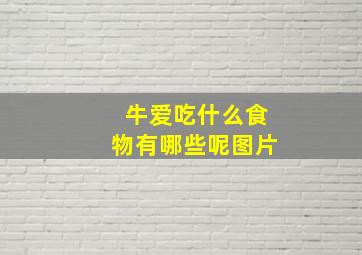 牛爱吃什么食物有哪些呢图片