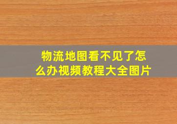 物流地图看不见了怎么办视频教程大全图片