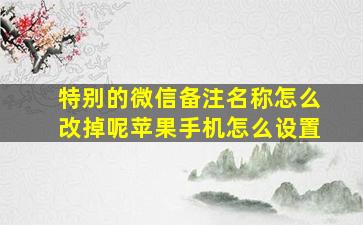 特别的微信备注名称怎么改掉呢苹果手机怎么设置