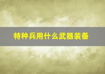 特种兵用什么武器装备