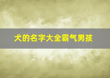 犬的名字大全霸气男孩