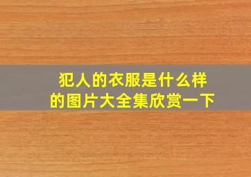 犯人的衣服是什么样的图片大全集欣赏一下