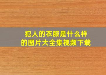 犯人的衣服是什么样的图片大全集视频下载