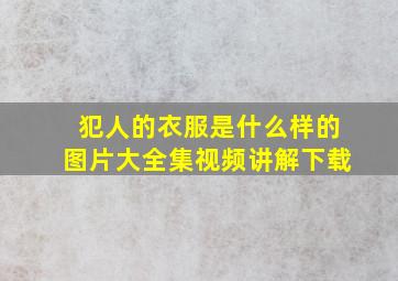 犯人的衣服是什么样的图片大全集视频讲解下载