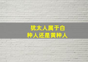 犹太人属于白种人还是黄种人