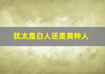 犹太是白人还是黄种人