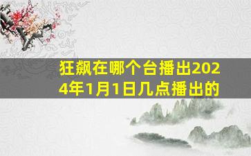 狂飙在哪个台播出2024年1月1日几点播出的