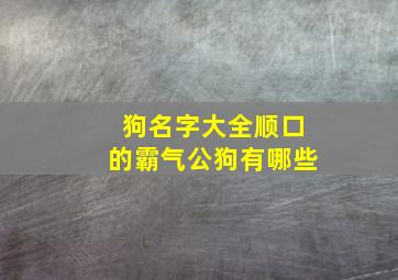 狗名字大全顺口的霸气公狗有哪些