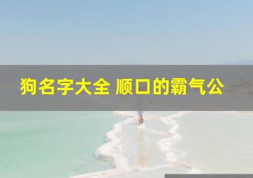 狗名字大全 顺口的霸气公