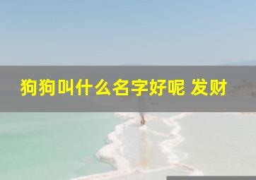 狗狗叫什么名字好呢 发财