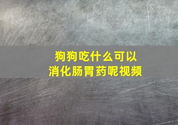 狗狗吃什么可以消化肠胃药呢视频