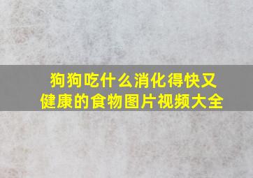 狗狗吃什么消化得快又健康的食物图片视频大全