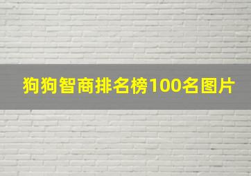 狗狗智商排名榜100名图片