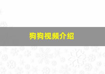 狗狗视频介绍