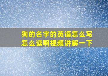 狗的名字的英语怎么写怎么读啊视频讲解一下