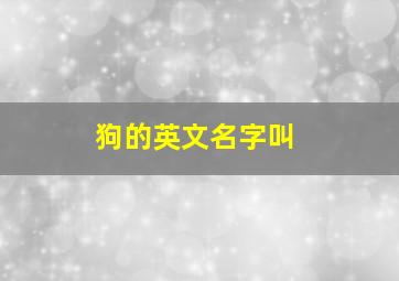 狗的英文名字叫