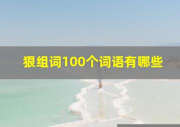 狠组词100个词语有哪些