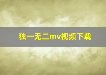 独一无二mv视频下载